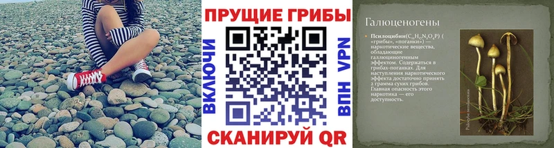 Галлюциногенные грибы ЛСД blacksprut как зайти Пласт